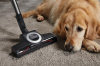 Miele C3FLEX_CAT_DOG Cylinder Vacuum Cleaner