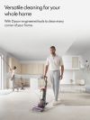 Dyson BALLANIMALORIG Upright Vacuum Cleaner